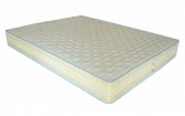 Latex Foam Profilat h20